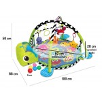 Salteluta de joaca cu 30 de bile - Centru Multiactivitati Broasca Testoasa Verde